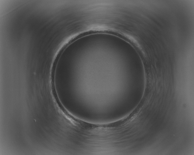 X0000067841327200604201231