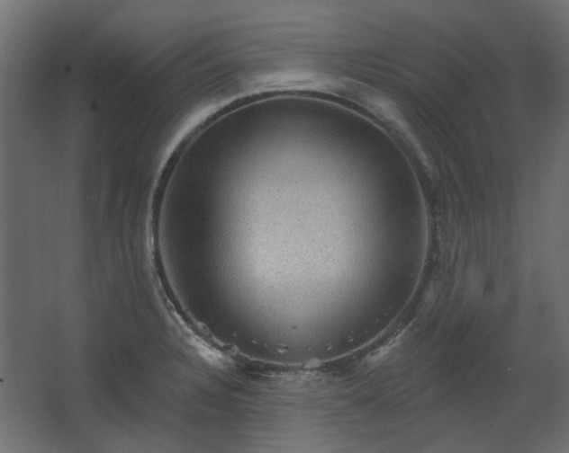 X0000067841328200604201231