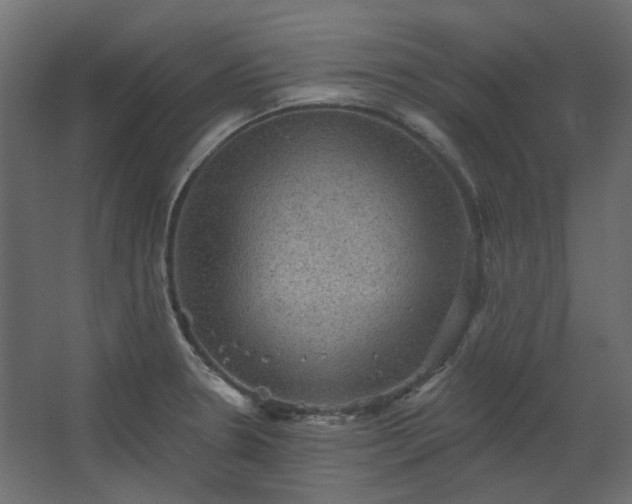 X0000067841330200604201231