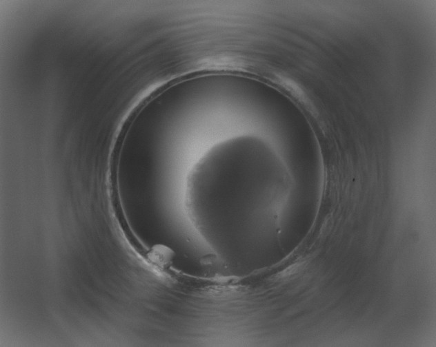 X0000067841331200604201231