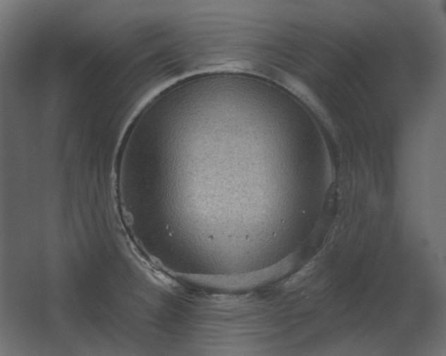 X0000067841332200604201231