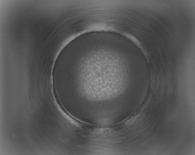 X0000067841335200604201231