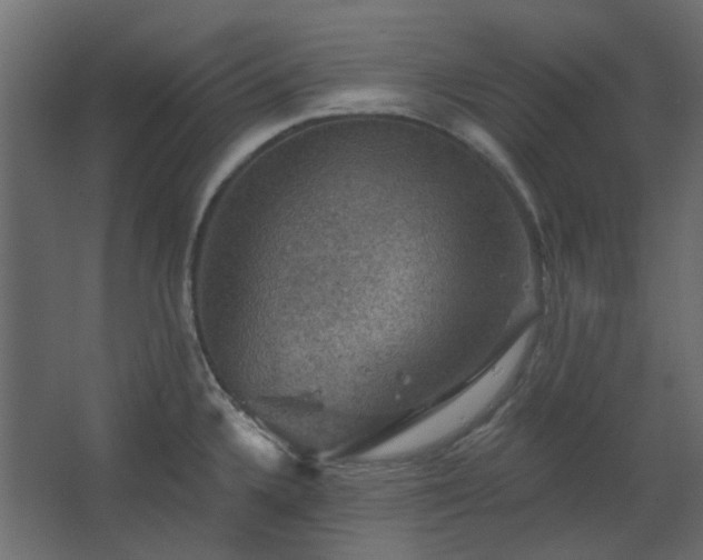 X0000067841336200604201231