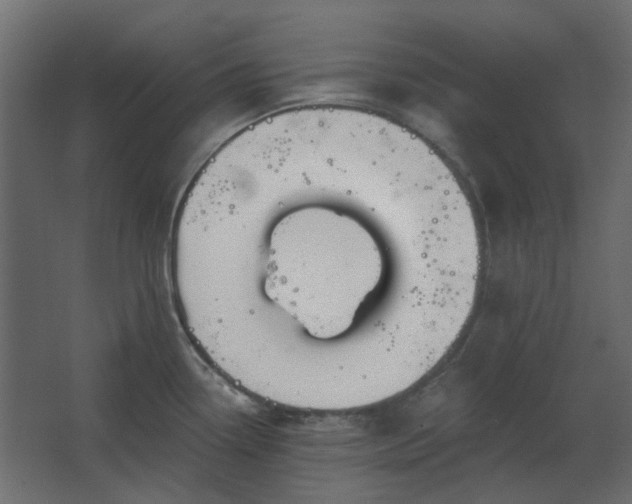 X0000067841338200604201231