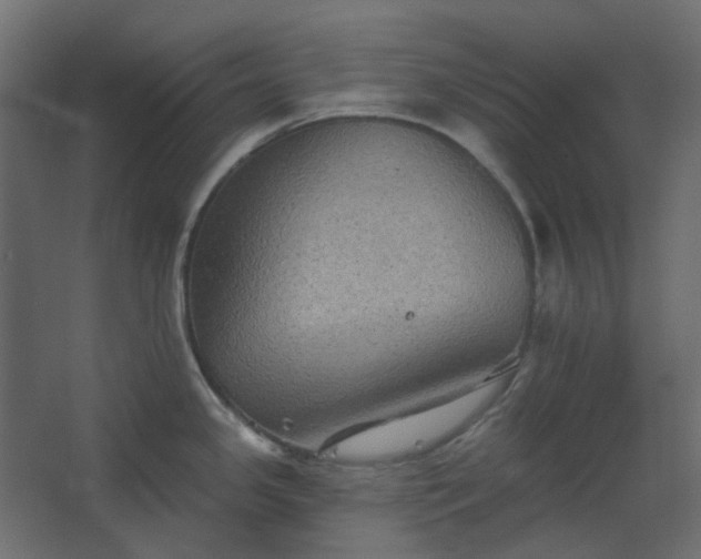 X0000067841341200604201231