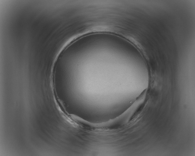 X0000067841342200604201231