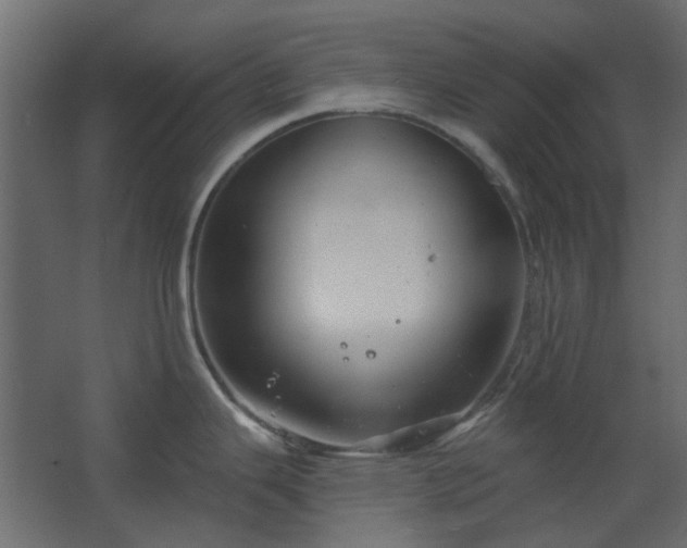 X0000067841343200604201232