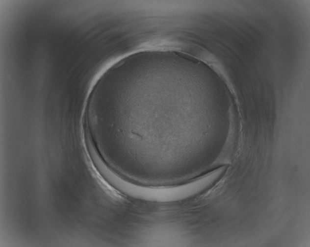 X0000067841344200604201232