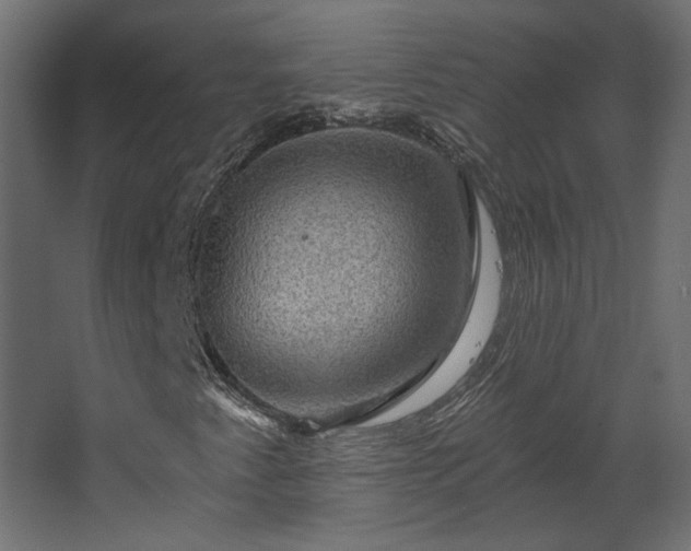 X0000067841345200604201231