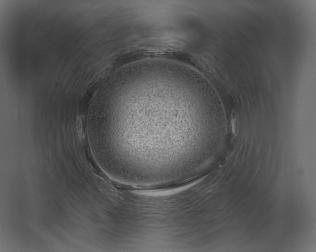 X0000067841347200604201231