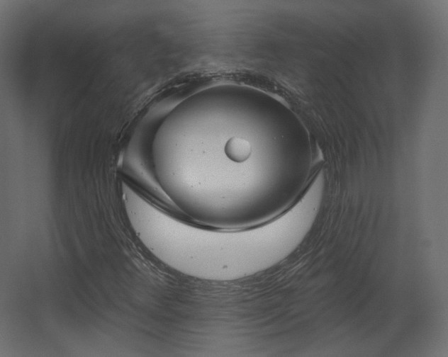 X0000067841348200604201231