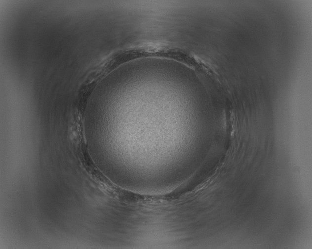 X0000067841349200604201231