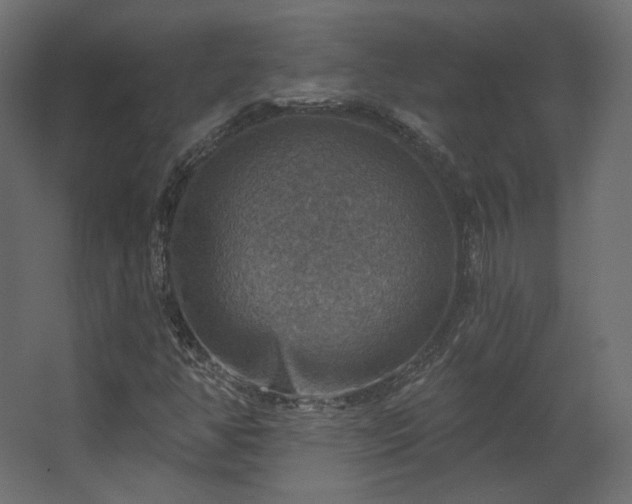 X0000067841350200604201231