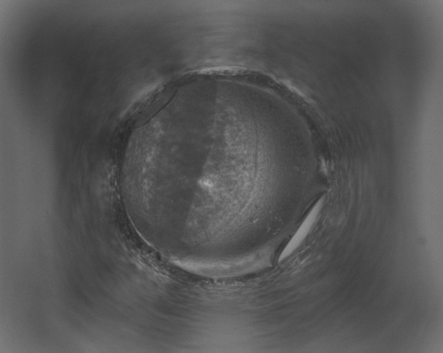 X0000067841351200604201231