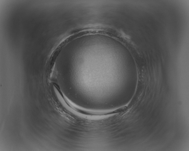 X0000067841352200604201231