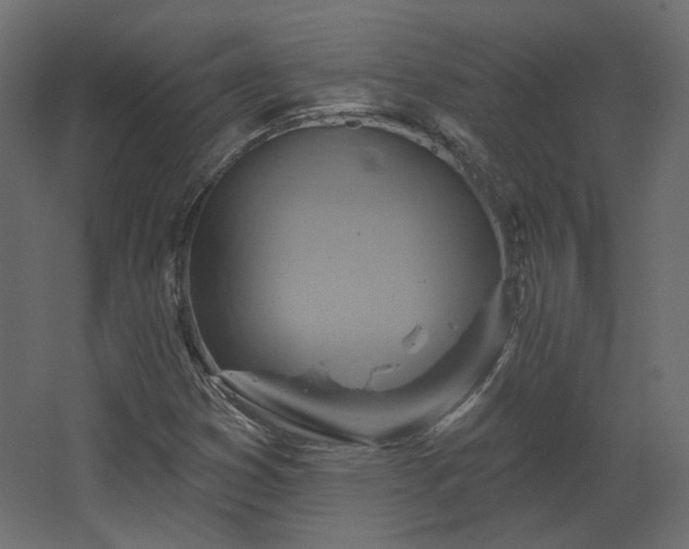 X0000067841353200604201231