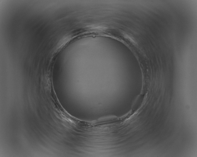 X0000067841354200604201231