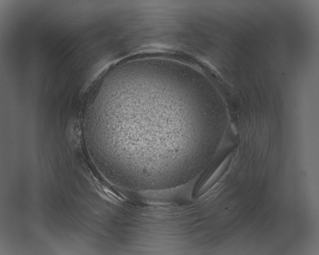 X0000067841355200604201231