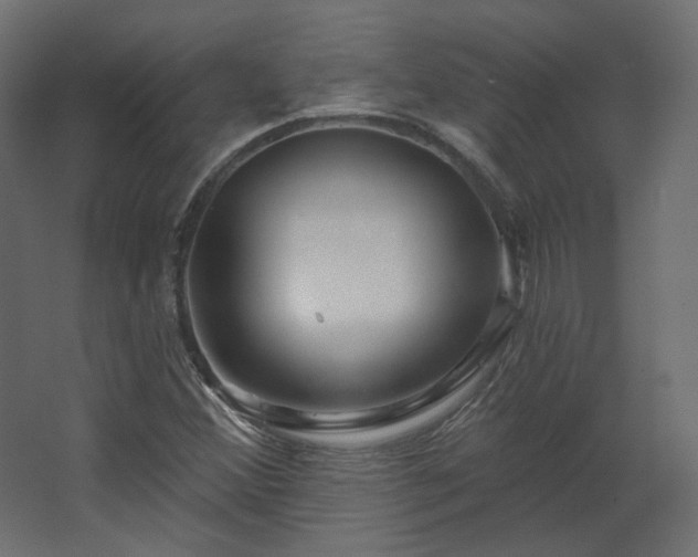 X0000067841356200604201231