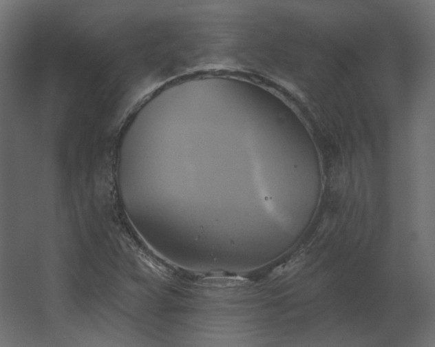 X0000067841359200604201230