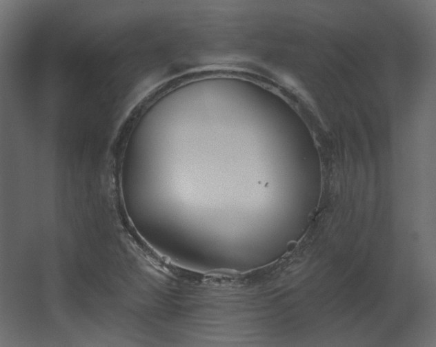 X0000067841360200604201230