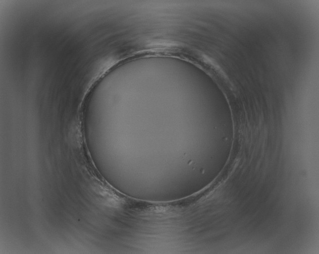 X0000067841362200604201230