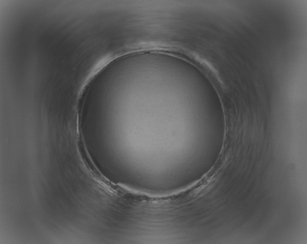 X0000067841365200604201230