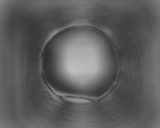 X0000067841366200604201230