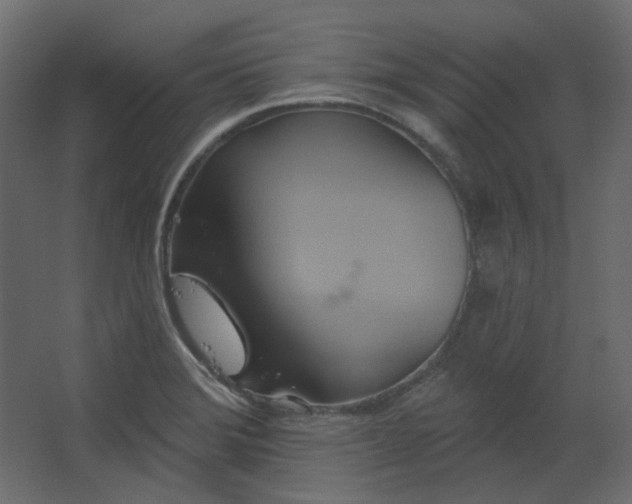 X0000067841372200604201230