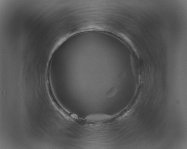 X0000067841373200604201230