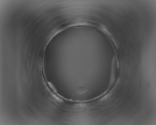 X0000067841377200604201230