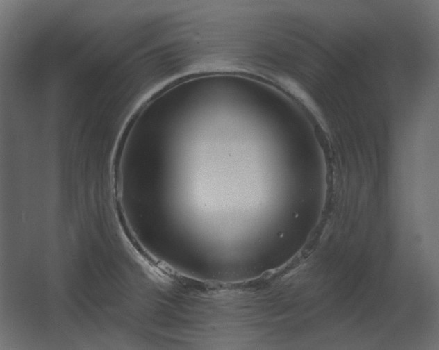 X0000067841380200604201230