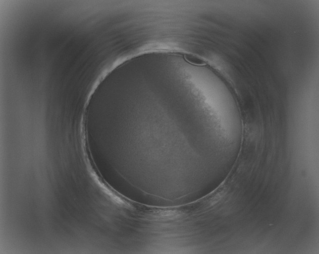 X0000067841382200604201230