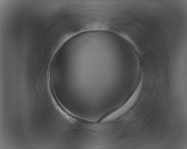 X0000067841383200604201230