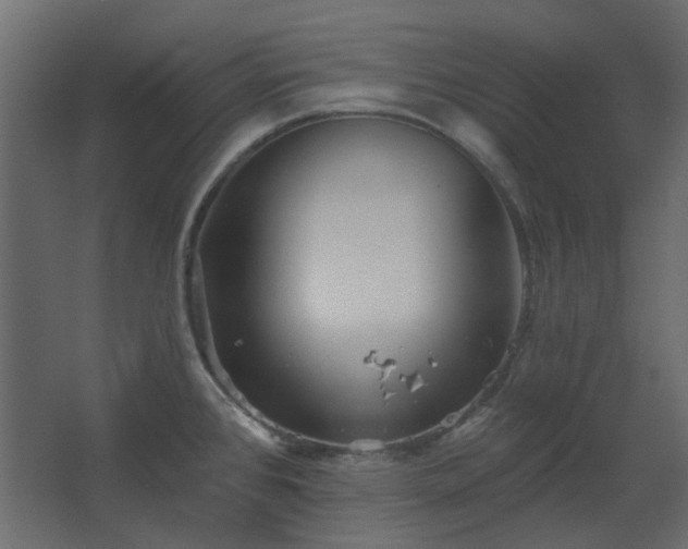 X0000067841384200604201230