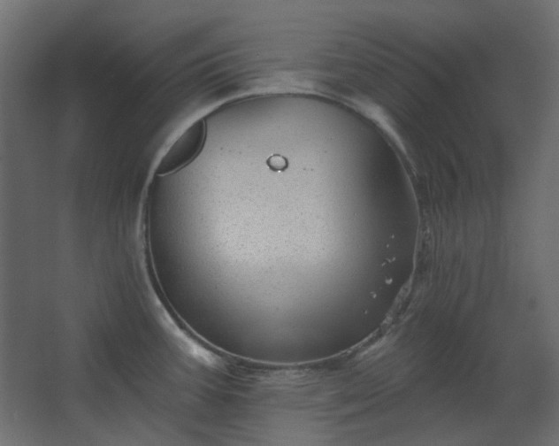 X0000067841387200604201230