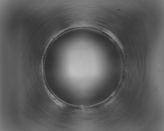 X0000067841388200604201230