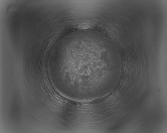 X0000067841393200604201229