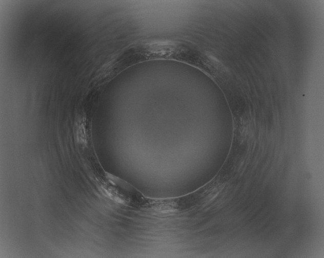 X0000067841394200604201229