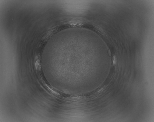 X0000067841396200604201229