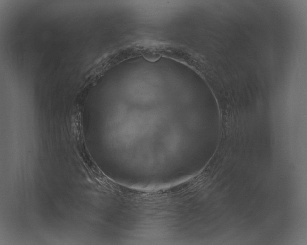 X0000067841397200604201229