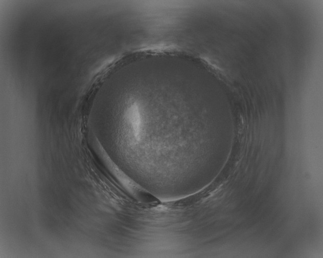 X0000067841398200604201229