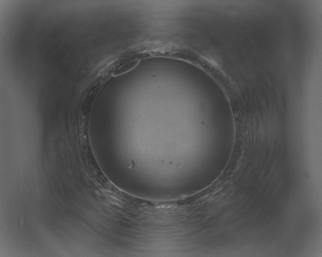 X0000067841399200604201229