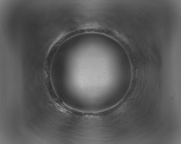 X0000067841400200604201229