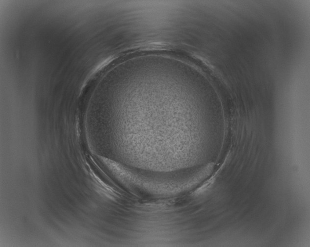 X0000067841402200604201229