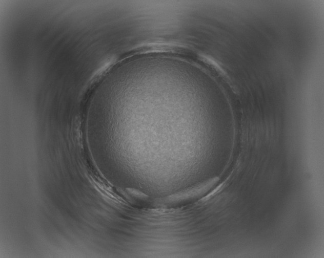 X0000067841403200604201229