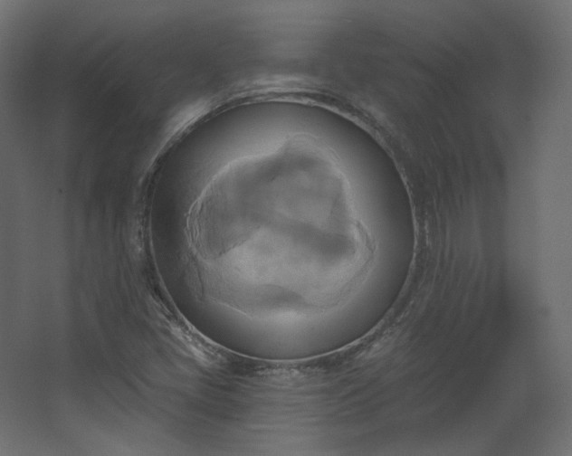 X0000067841405200604201229