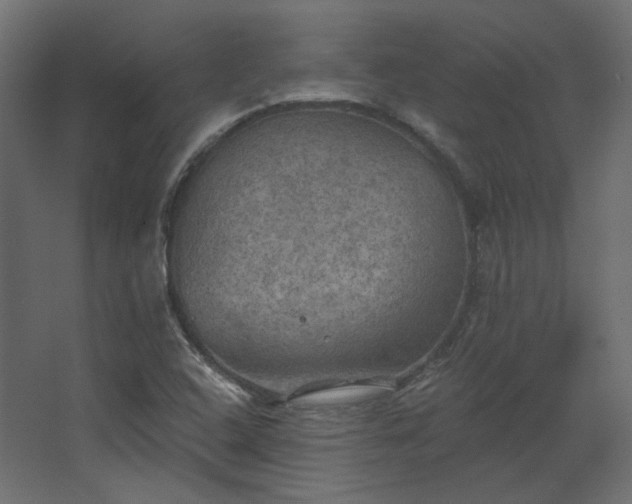 X0000067841408200604201229