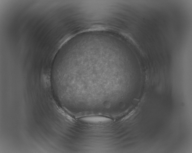 X0000067841409200604201229