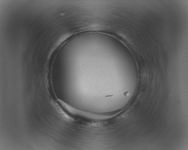 X0000067841410200604201229